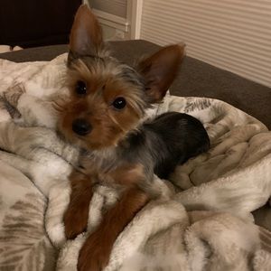 Meet your Posher, Marisa